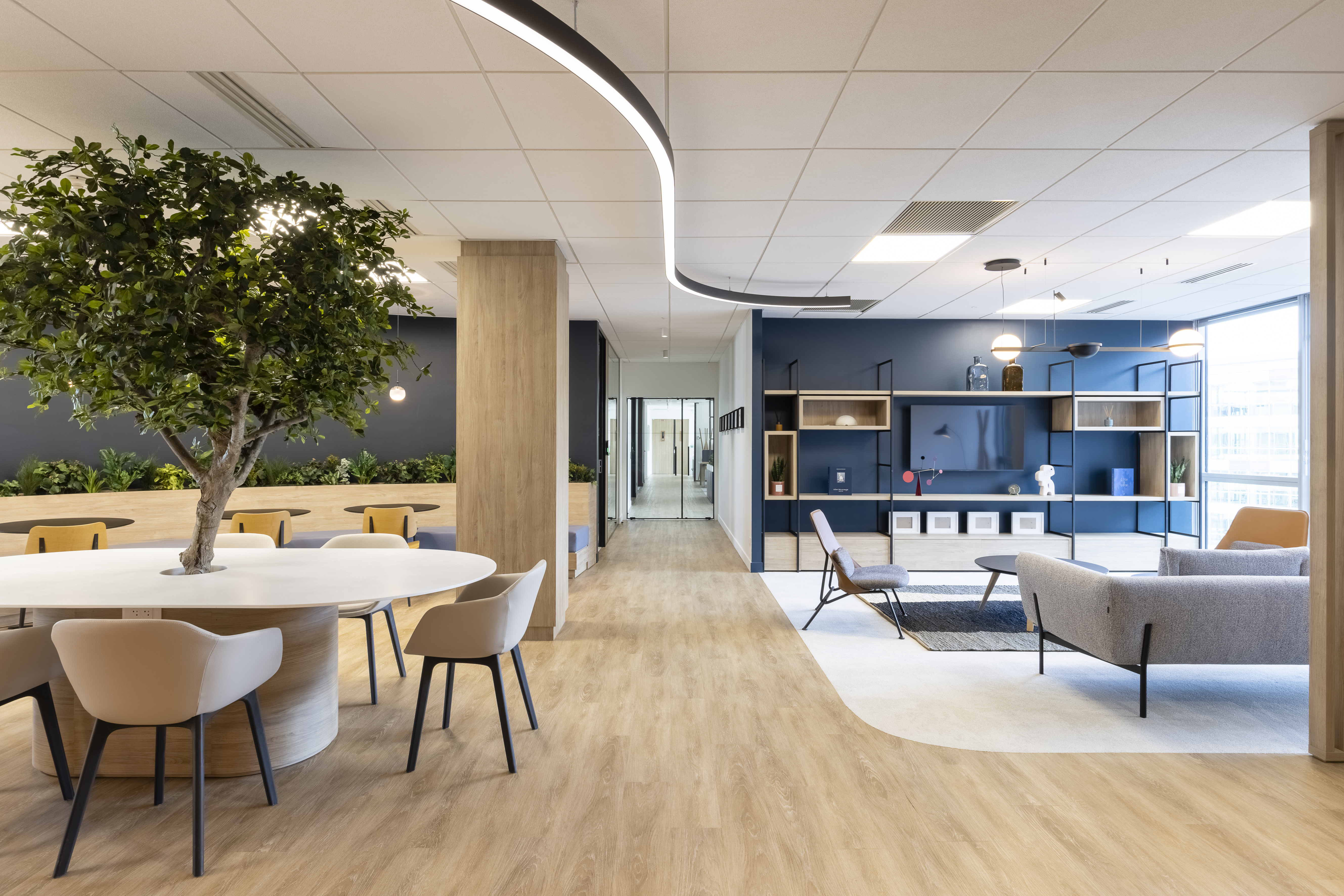 Les banquettes et l'arbre, associés au bois clair du mobilier de la place centrale, confèrent une ambiance apaisante dès l'entrée des bureaux.