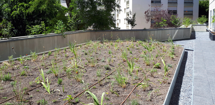 150 m² de jardin ornent les terrasses du 1er étage. 