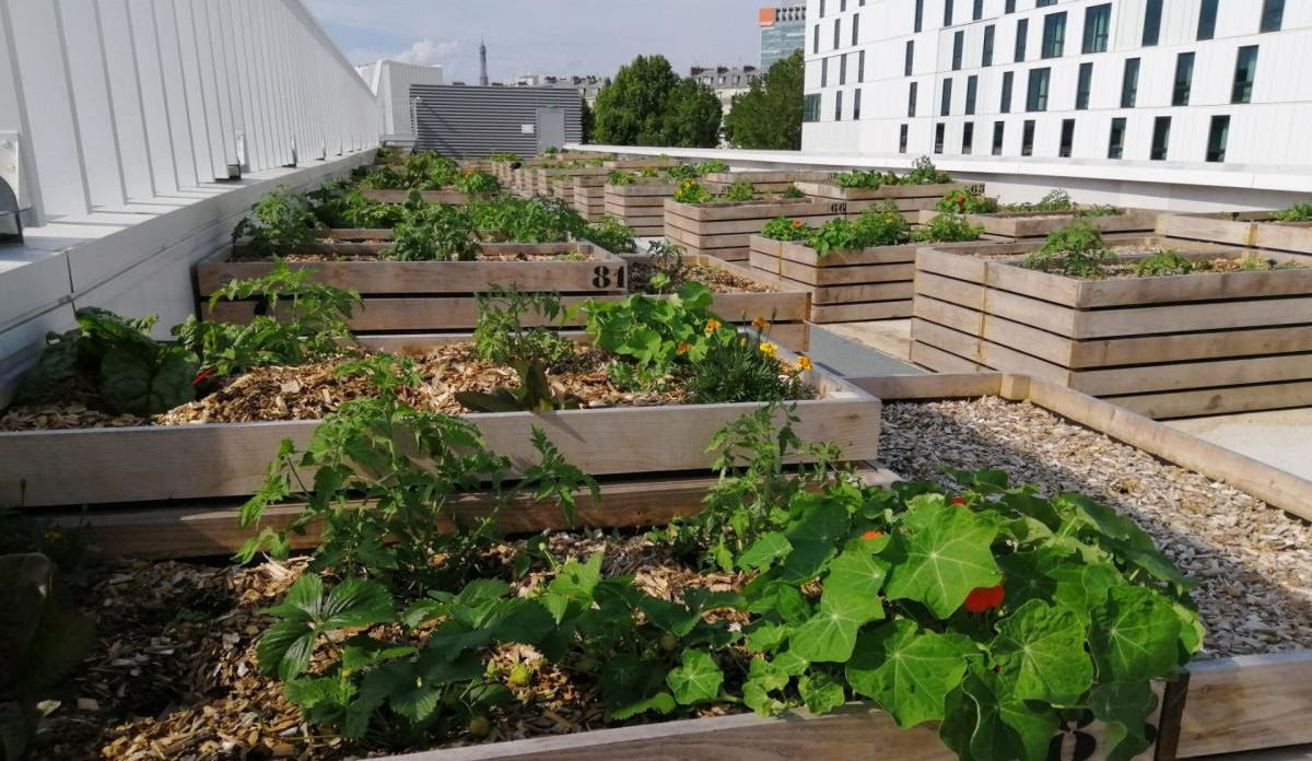 Les espèces cultivées ont été choisies pour leurs qualité gustative. 