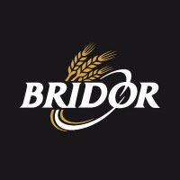 logo-bridor.jpg