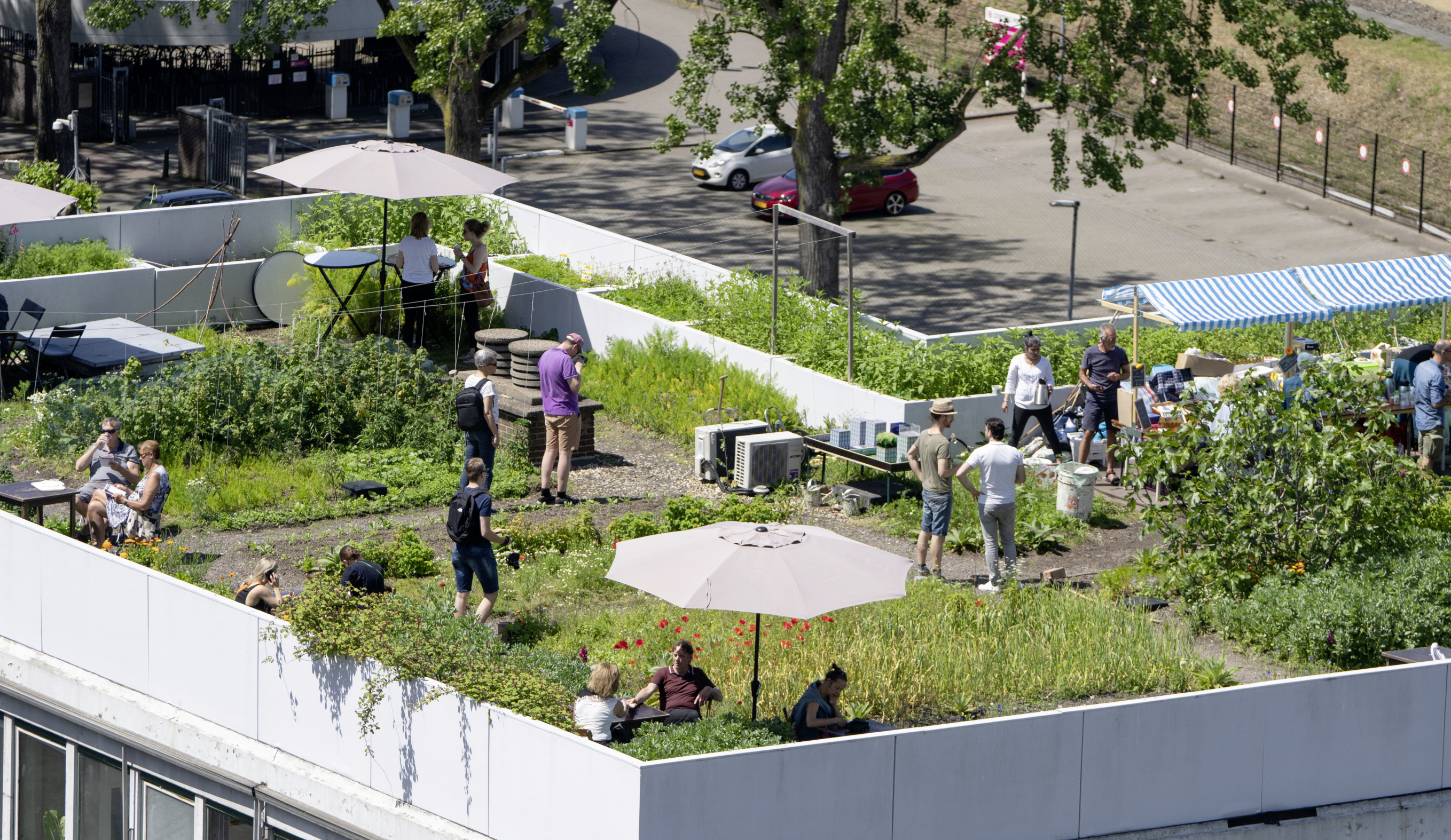 Les visiteurs comprennent rapidement les avantages des toitures-terrasses !