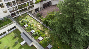 Le phénomène d'évapotranspiration de la végétalisation en toiture permet de limiter les intrants de chaleur à l'intérieur du bâtiment. 