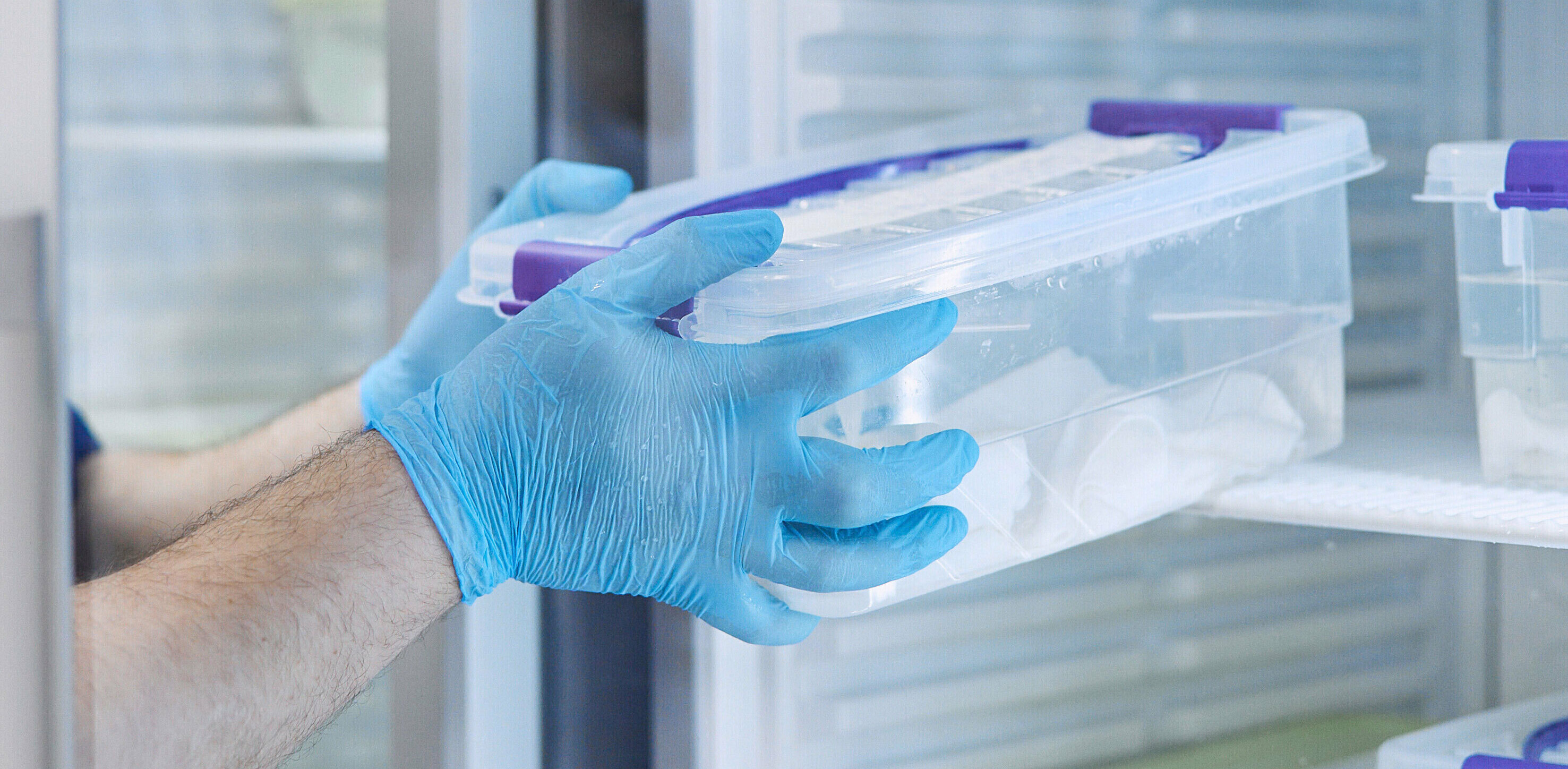 The scientist takes samples of materials for experiments out of the refrigerator.