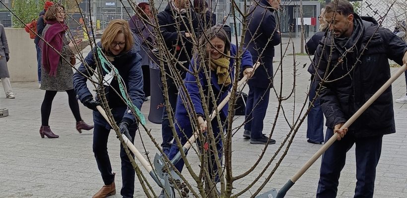 Des élus de la mairie de Lyon et des membres de la fondation GPO plantent le premier chêne, le 28 novembre 2025. 