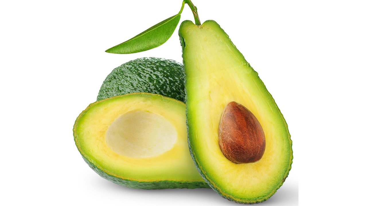 avocat 1.jpg