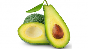 avocat 1.jpg