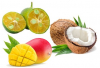 fruit exotique 2.jpg