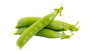 pois croquant-sugar snaps.jpg