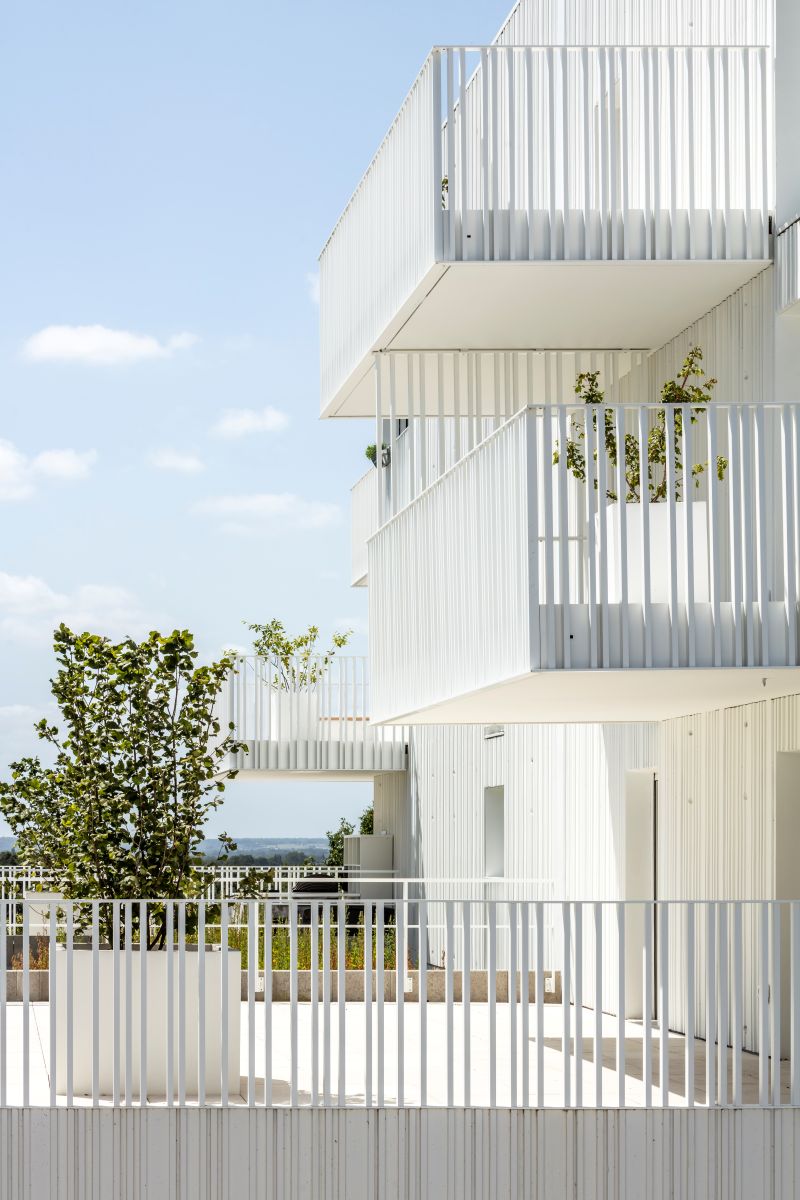 BABIA_GORA_- GC et claustras à lames sur mesure - MOA Réalités Promotion - Architecte Anthracite - Serrurier ARS METALLUM  - Photo_Luc_Boegly (3).jpg